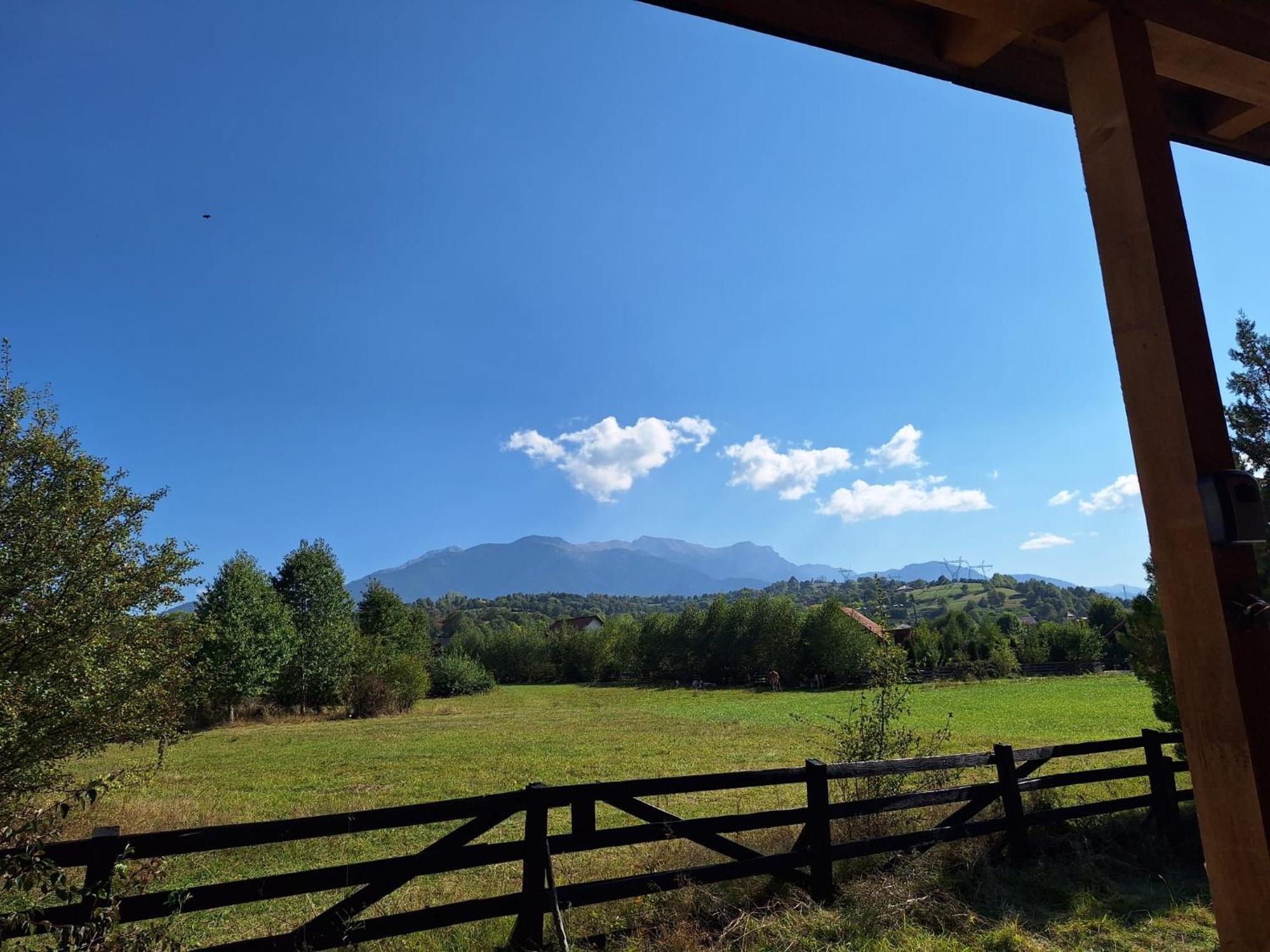 Bran White Clouds House And Chalet Exterior photo