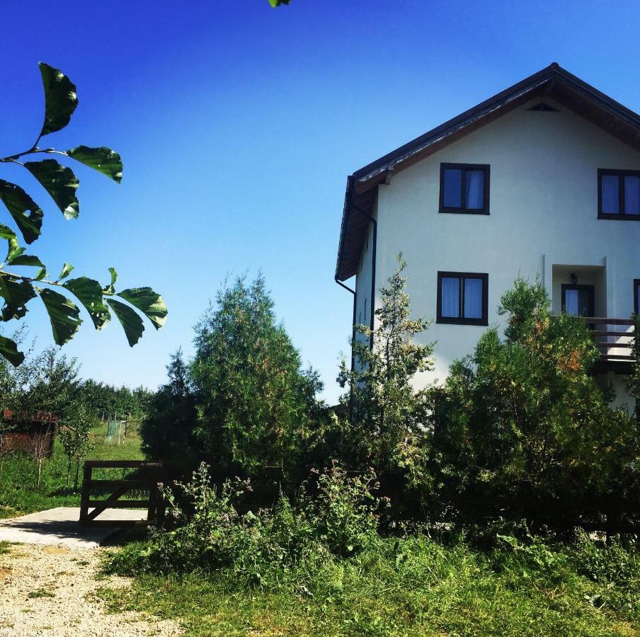 Bran White Clouds House And Chalet Exterior photo