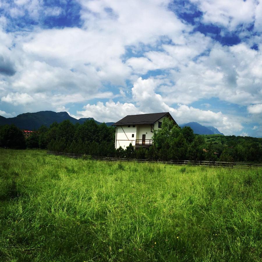 Bran White Clouds House And Chalet Exterior photo